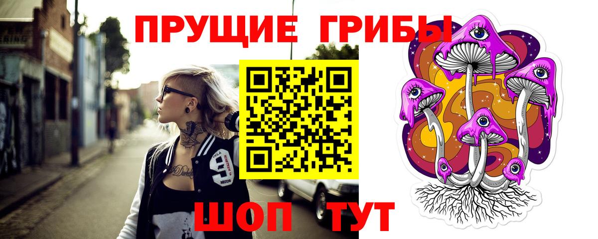 Сунжа  Псилоцибиновые грибы Psilocybine cubensis  Вход с VPN 