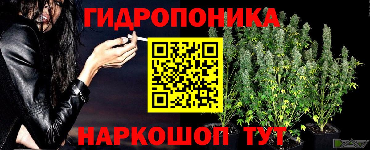 МАРИХУАНА ГИДРОПОН Сунжа